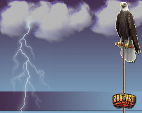 обоя zoo, vet, видео, игры