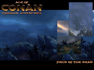Картинка age of conan hyborian adventures видео игры