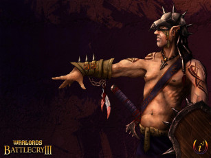 Картинка warlords battlecry видео игры iii