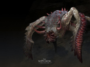 Картинка witcher видео игры the