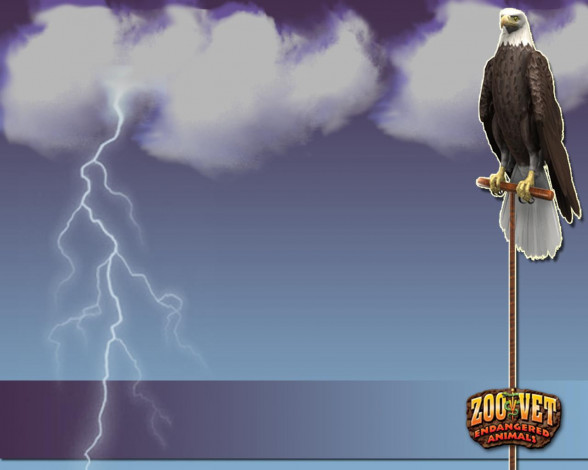 Обои картинки фото zoo, vet, видео, игры