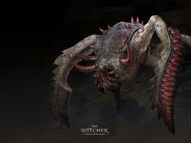 Обои картинки фото witcher, видео, игры, the