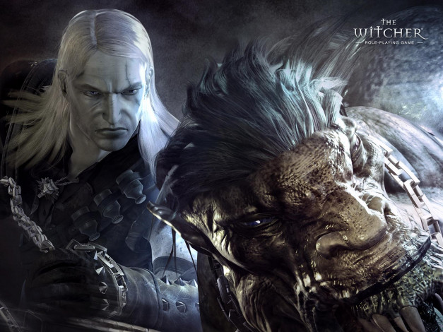 Обои картинки фото witcher, видео, игры, the