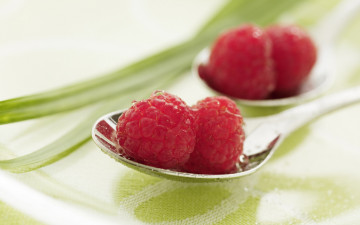 Картинка еда малина