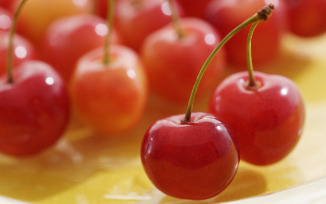 Обои картинки фото еда, вишня, черешня