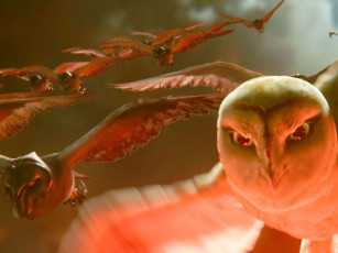 Картинка легенда стражах мультфильмы legend of the guardians owls ga’hoole