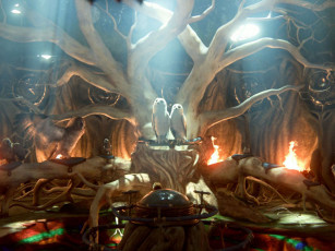 Картинка легенда стражах мультфильмы legend of the guardians owls ga’hoole