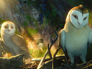Картинка легенда стражах мультфильмы legend of the guardians owls ga’hoole