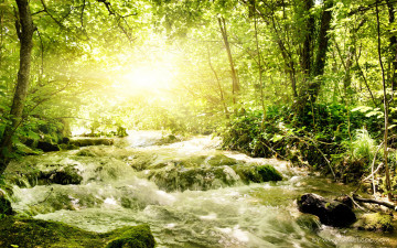 Картинка природа реки озера