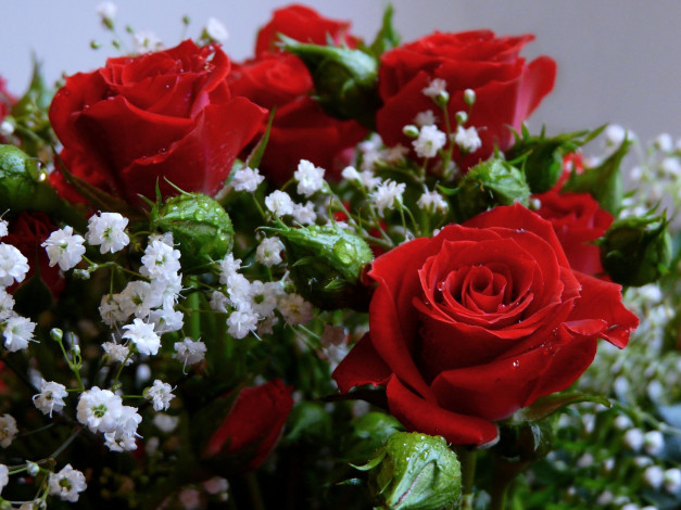 Обои картинки фото цветы, букеты, композиции
