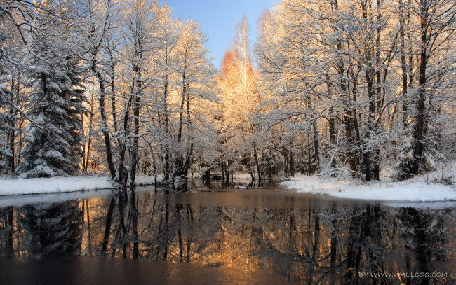 Обои картинки фото природа, зима