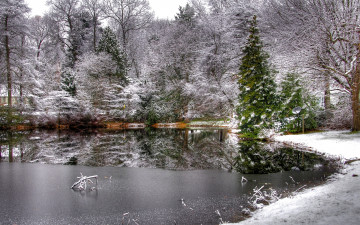 Картинка природа зима