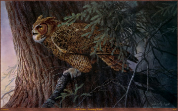 Картинка bob henley evening watch рисованные дерево филин арт