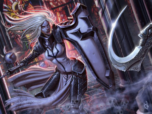 Картинка видео+игры diablo+iii +reaper+of+souls арт оружие щит блондинка крик игра девушка доспехи души серп