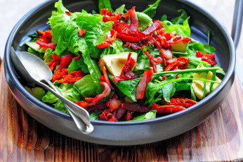 Картинка еда салаты +закуски салат закуска зелень перец авокадо