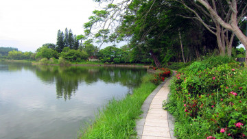 Картинка природа парк река дорожка цветы