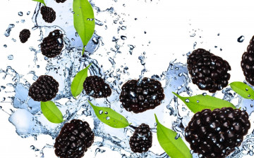 Картинка еда ежевика вода брызги ягоды