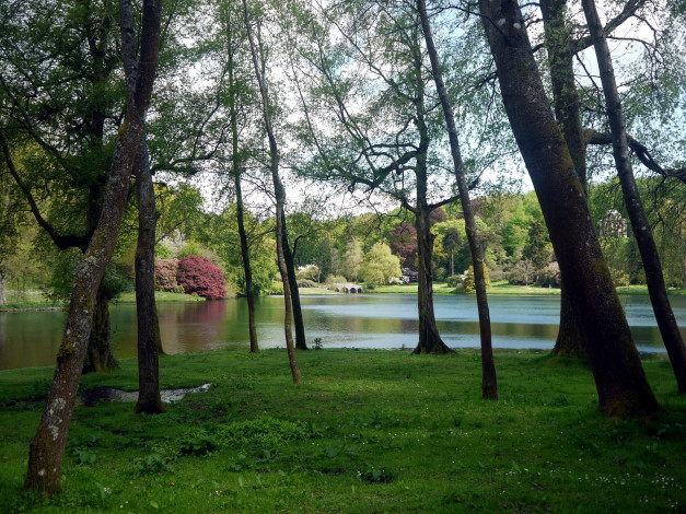 Обои картинки фото природа, парк, река, мостик