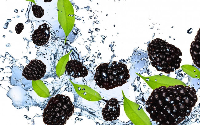 Обои картинки фото еда, ежевика, вода, брызги, ягоды