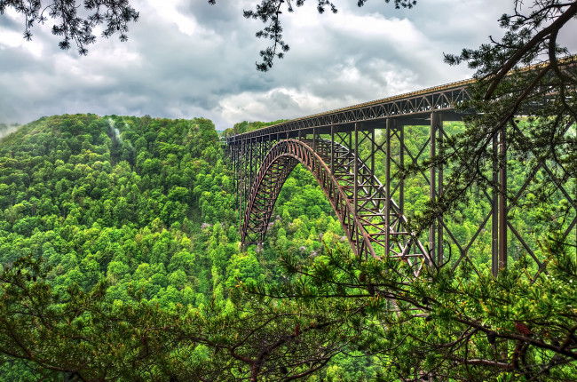 Обои картинки фото природа, реки, озера, мост, река, лес