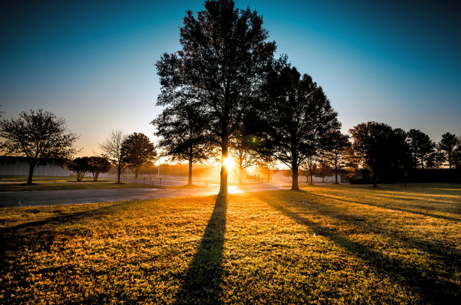 Обои картинки фото природа, восходы, закаты, сияние, све, деревья, поле, трава