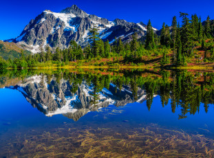 Картинка природа реки озера горы лес река