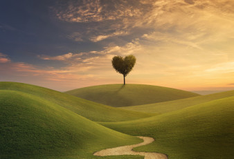 Картинка разное компьютерный+дизайн крона седце креатив дерево холмы дорожка