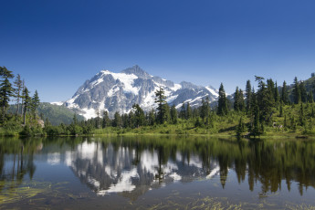 Картинка природа реки озера горы река лес