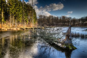 Картинка природа реки озера река лес