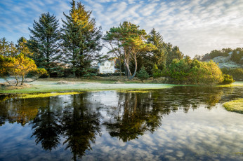 Картинка природа реки озера облака река лес