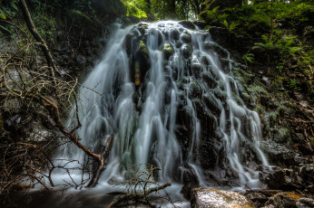 Картинка природа водопады водопад лес река