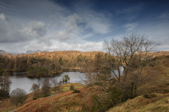 Картинка природа реки озера река лес