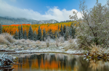 Картинка природа реки озера река лес горы