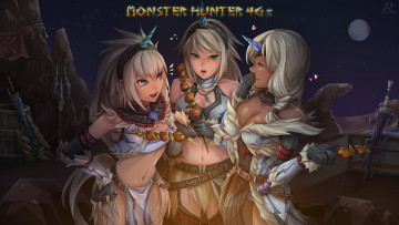 Картинка аниме оружие +техника +технологии kirin monster hunter rebe11 арт меч шашлык девушки