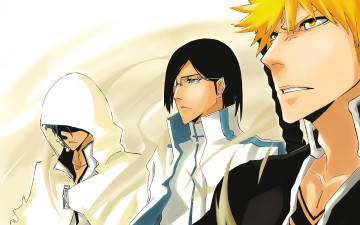 Картинка аниме bleach grimmjow jaegerjaquez shinigami ichigo kurosaki anime art