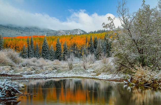 Обои картинки фото природа, реки, озера, река, лес, горы