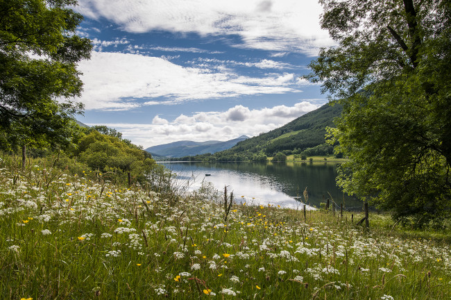 Обои картинки фото природа, реки, озера, река, лес, горы