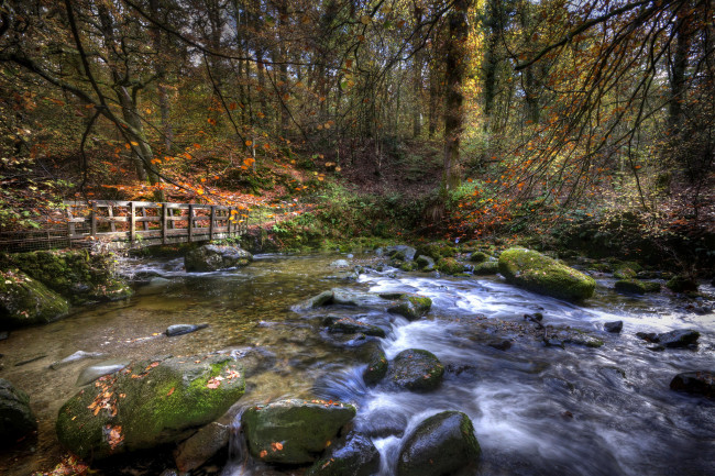 Обои картинки фото природа, реки, озера, река, лес