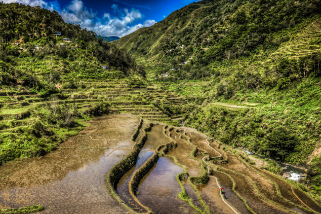 Обои картинки фото природа, горы, лес, вода, террасы