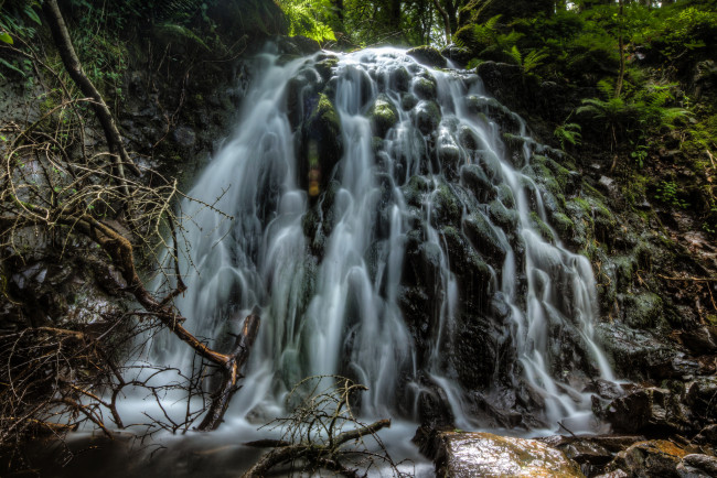 Обои картинки фото природа, водопады, водопад, лес, река