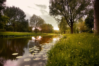 Картинка природа реки озера река лес