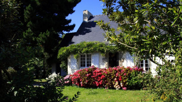 Картинка города -+здания +дома цветущие коттедж кусты