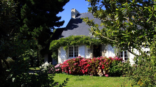 Обои картинки фото города, - здания,  дома, цветущие, коттедж, кусты