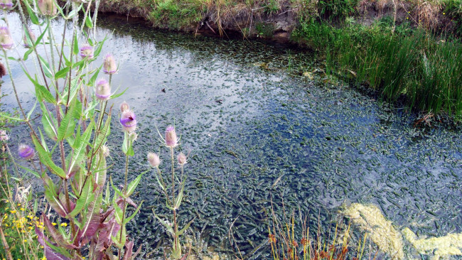 Обои картинки фото природа, реки, озера, ручей