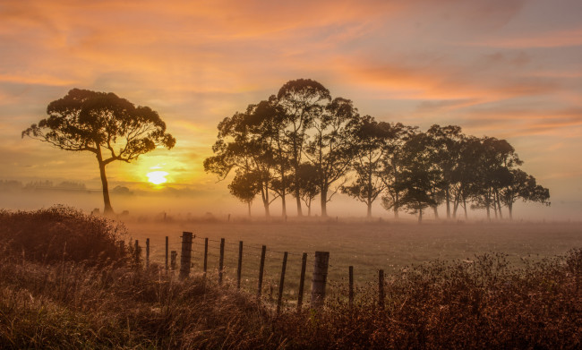 Обои картинки фото природа, восходы, закаты, рассвет