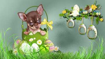 обоя праздничные, пасха, весна