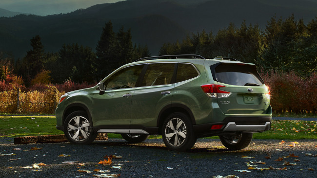 Обои картинки фото subaru forester 2019, автомобили, subaru, 2019, forester
