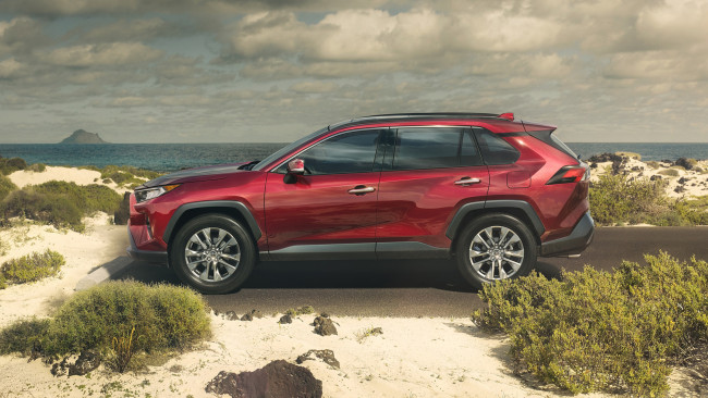 Обои картинки фото toyota rav4 2019, автомобили, toyota, 2019, crossover, rav4