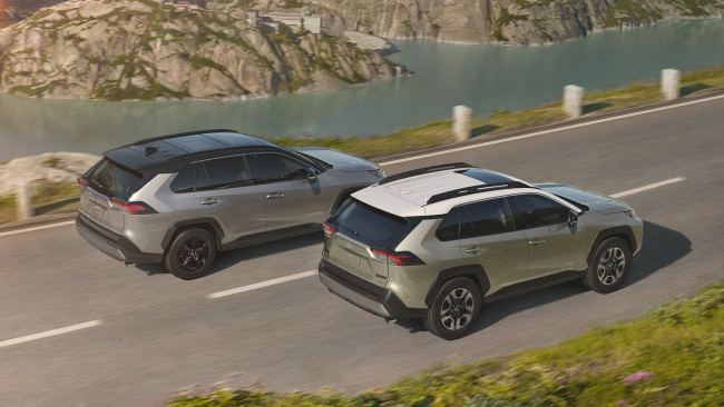 Обои картинки фото toyota rav4 2019, автомобили, toyota, crossover, 2019, rav4