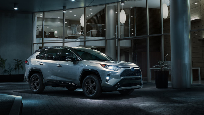 Обои картинки фото toyota rav4 2019, автомобили, toyota, crossover, 2019, rav4